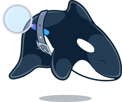 orca seo - faq
